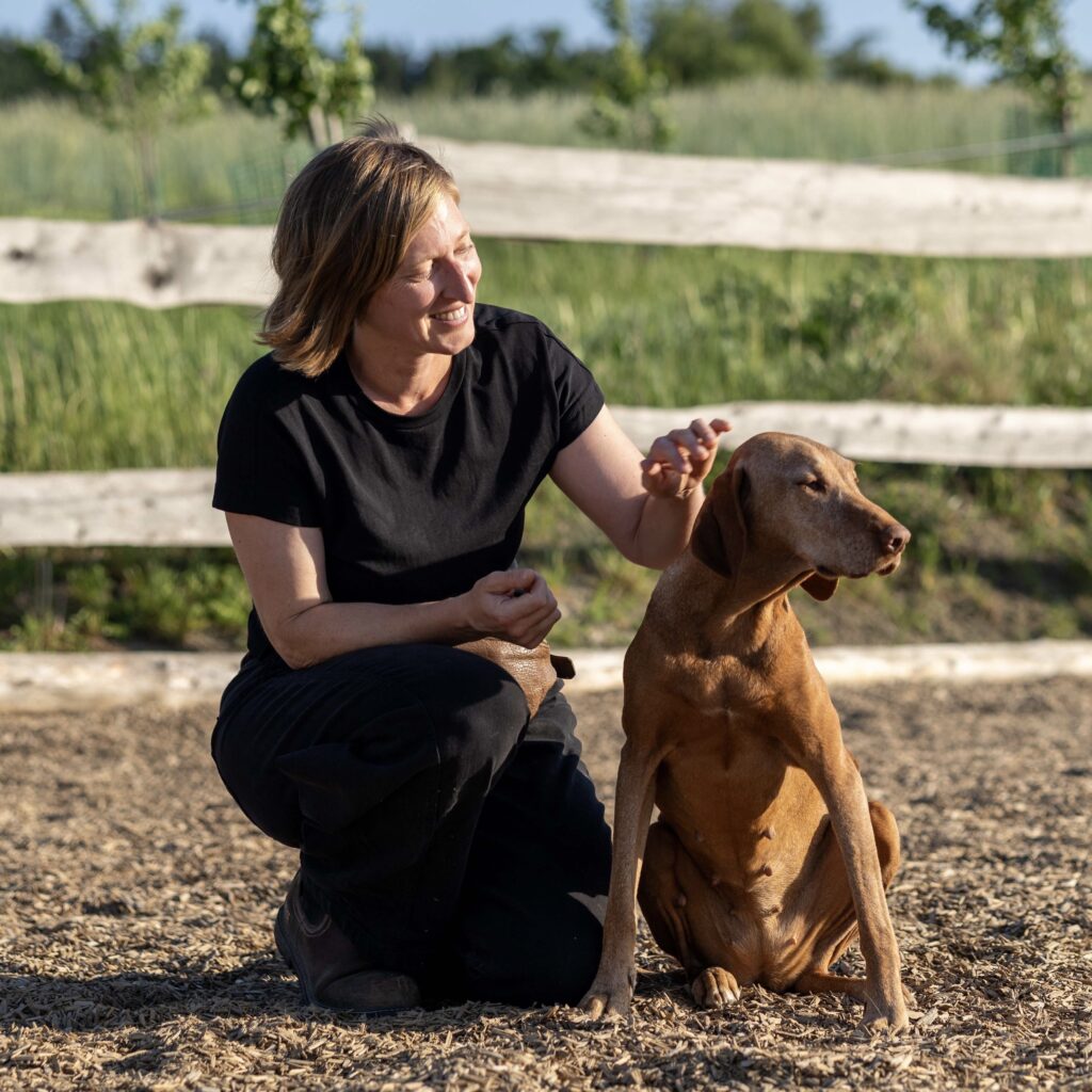 Hundeosteopathin Johanna Stöcker kniet neben einem braunen Hund und möchte ihn streicheln.