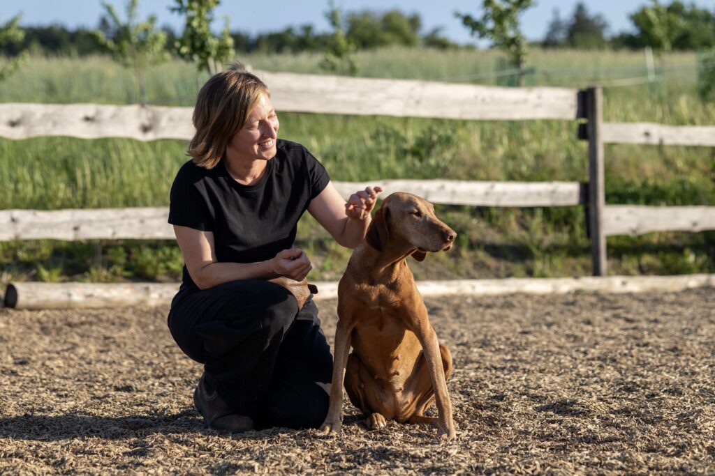 Hundeosteopathin Johanna Stöcker kniet neben einem braunen Hund und möchte ihn streicheln.